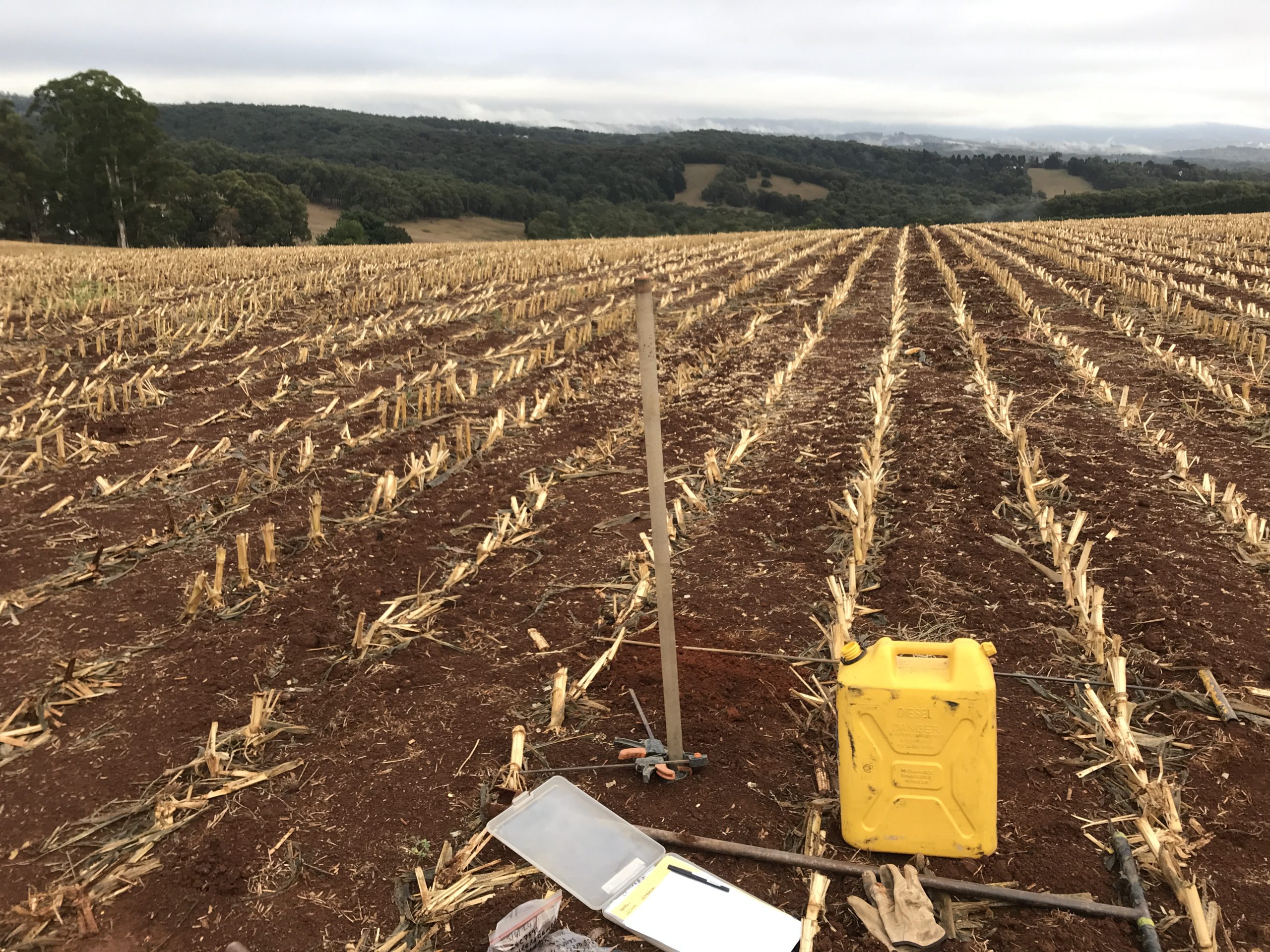 land capability assessment